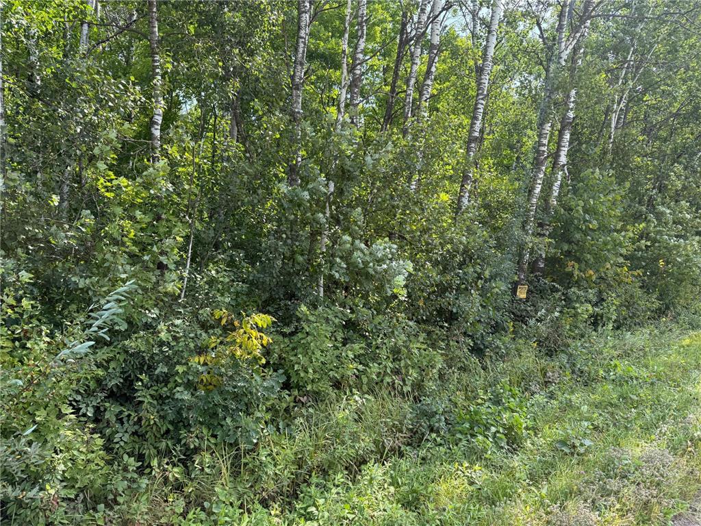 33622 Aspen Road Mission Creek Twp MN 55007 6781009 image40