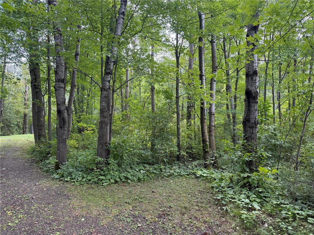 33622 Aspen Road Mission Creek Twp MN 55007 6781009 image7