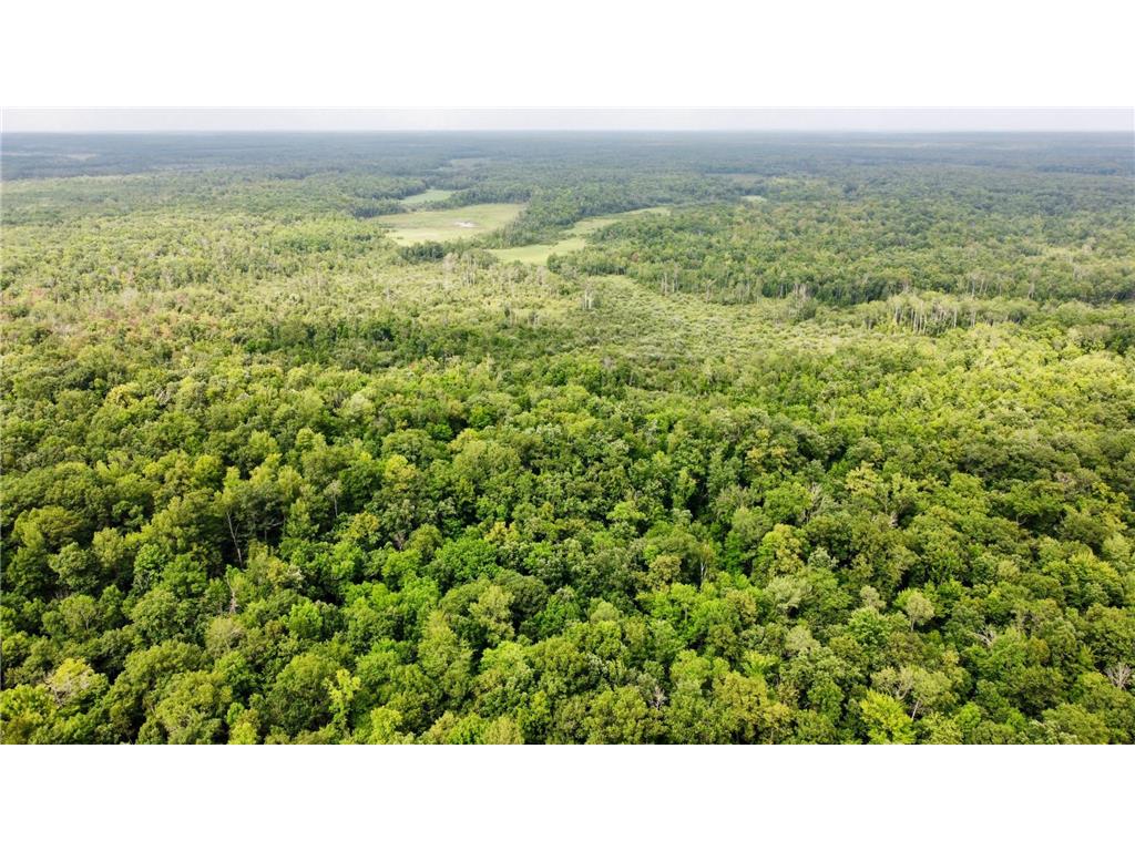 33631 Saint Croix Road Pine City Twp MN 55063 - Snake River 7066660 image52