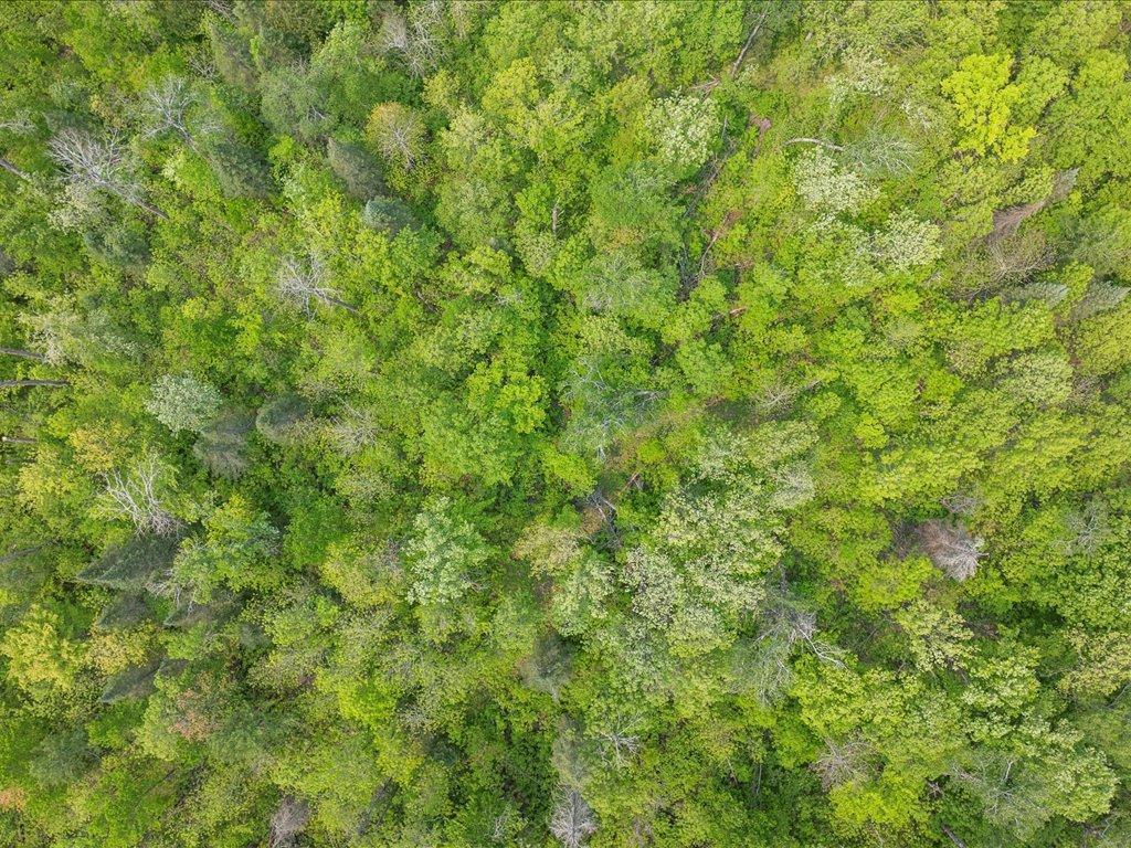 3365 State 200 NE Remer MN 56672 - Boy River 7033194 image52