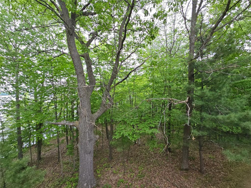 33660 368th Place Aitkin MN 56431 - Sissabagamah 7074549 image55