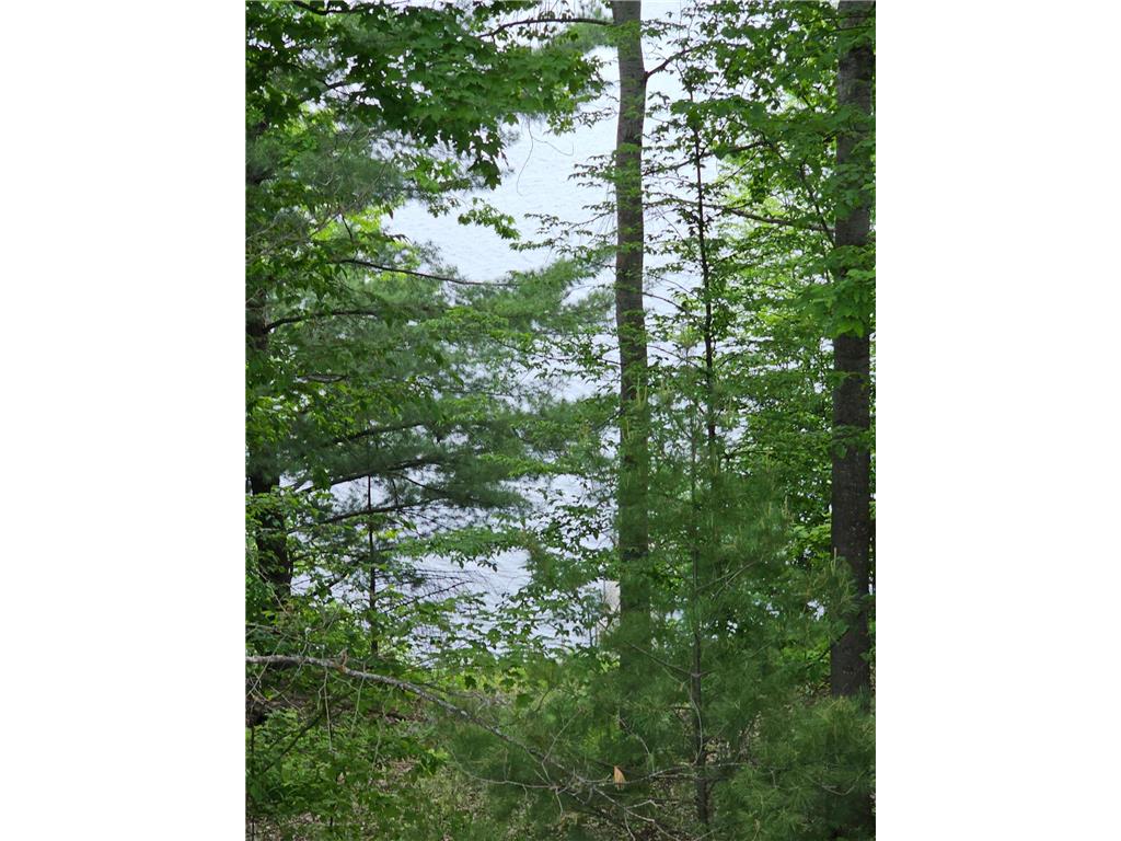 33660 368th Place Aitkin MN 56431 - Sissabagamah 7074549 image57