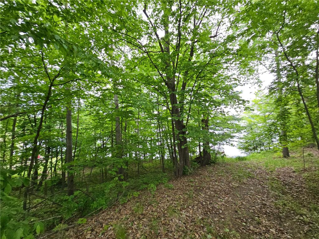 33660 368th Place Aitkin MN 56431 - Sissabagamah 7074549 image66