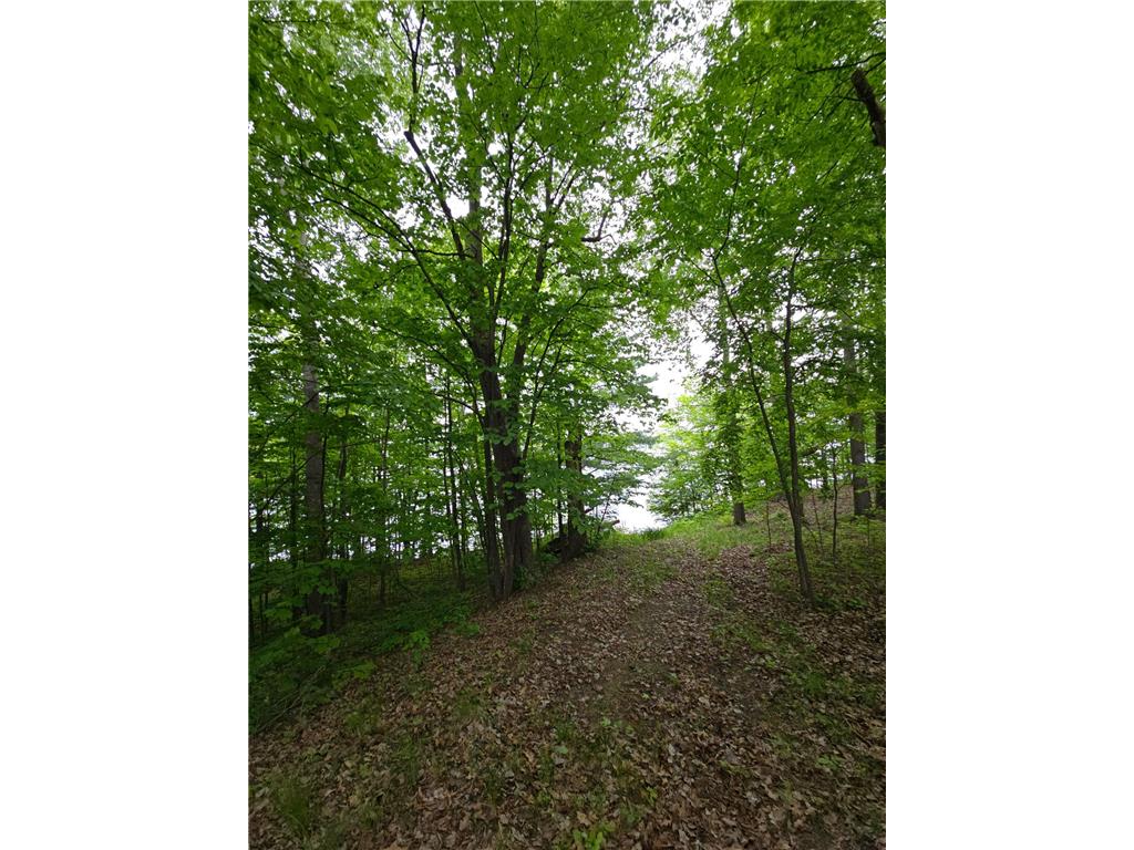 33660 368th Place Aitkin MN 56431 - Sissabagamah 7074549 image67