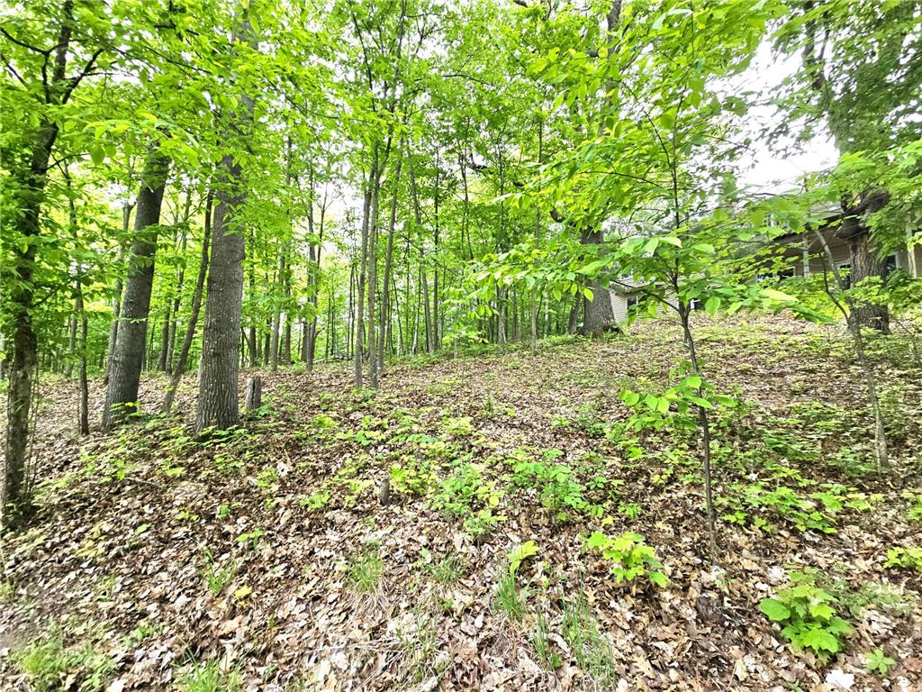33660 368th Place Aitkin MN 56431 - Sissabagamah 7074549 image68