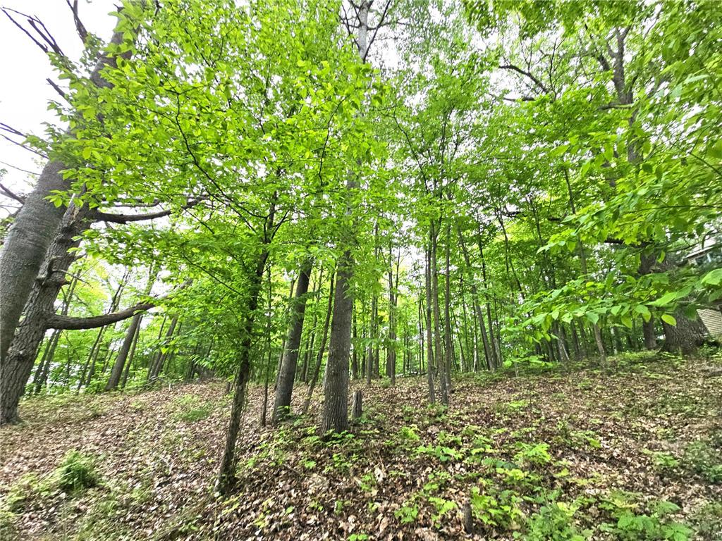 33660 368th Place Aitkin MN 56431 - Sissabagamah 7074549 image69