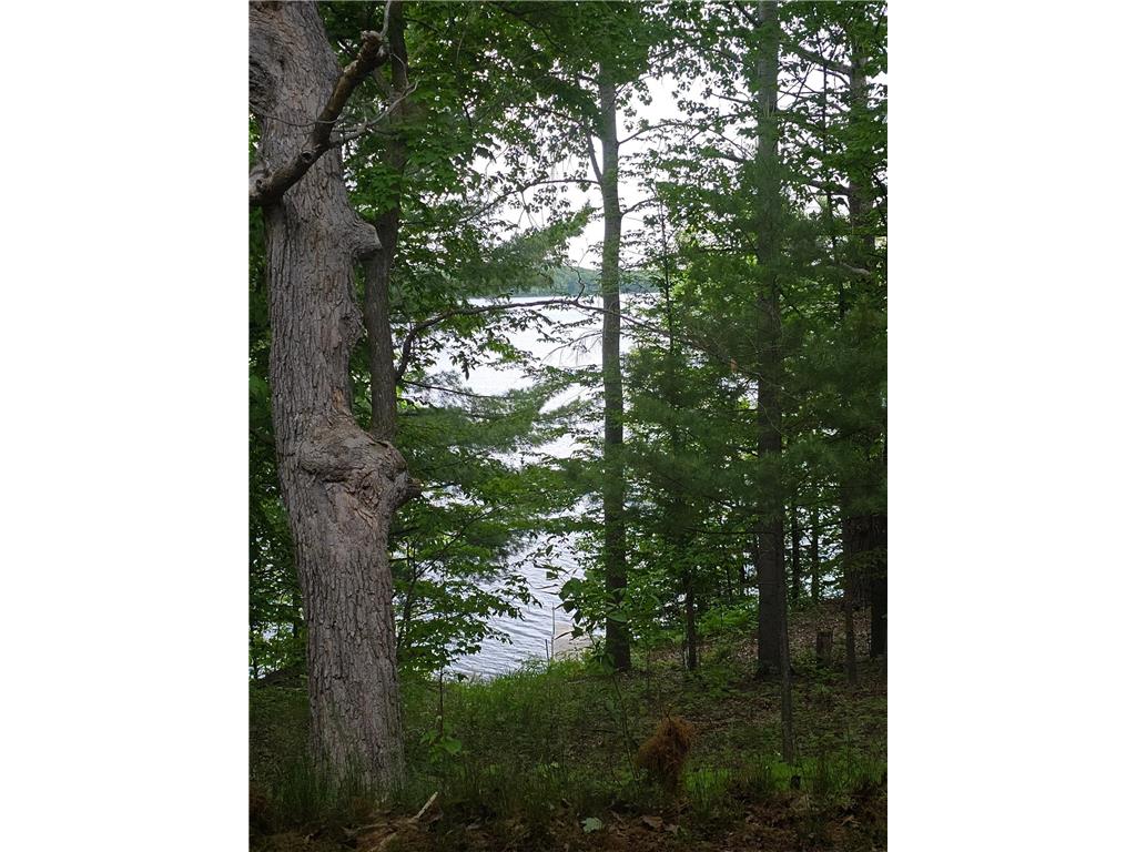 33660 368th Place Aitkin MN 56431 - Sissabagamah 7074549 image80