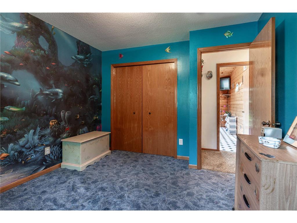 33667 County Highway 27 Erhard MN 56534 7110160 image41