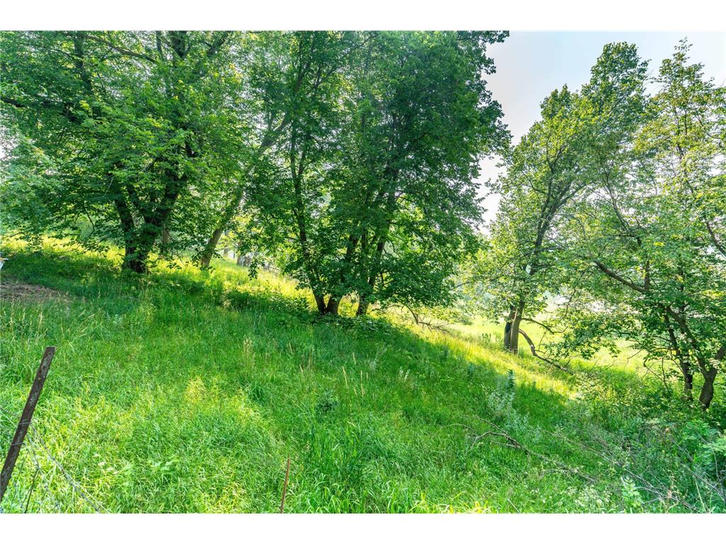 33667 County Highway 27 Erhard MN 56534 7110160 image61