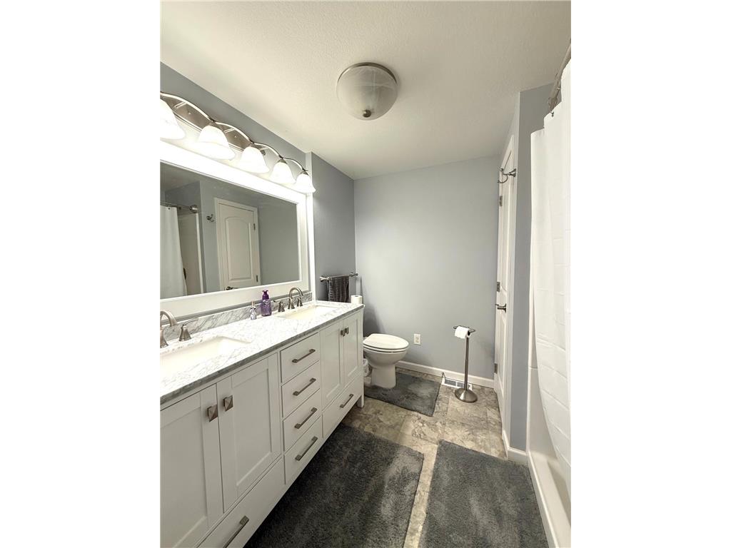33672 County Road 15 Beaver Falls Twp MN 56270 7100502 image16