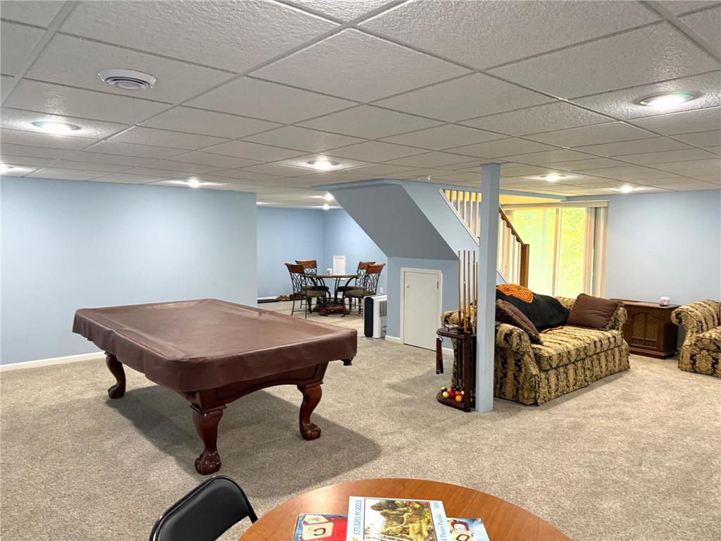 33672 County Road 15 Beaver Falls Twp MN 56270 7100502 image22