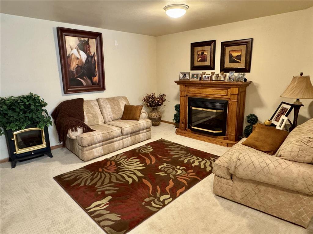 33678 Wildwood Drive Dent MN 56528 - West McDonald 7088367 image37