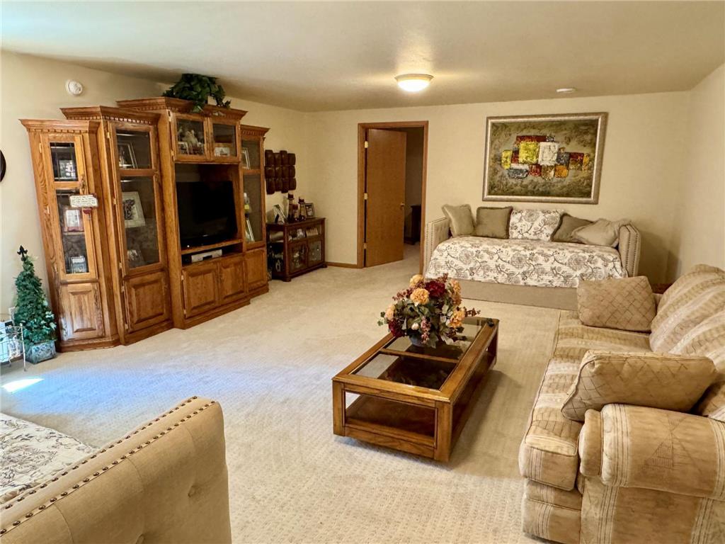 33678 Wildwood Drive Dent MN 56528 - West McDonald 7088367 image39