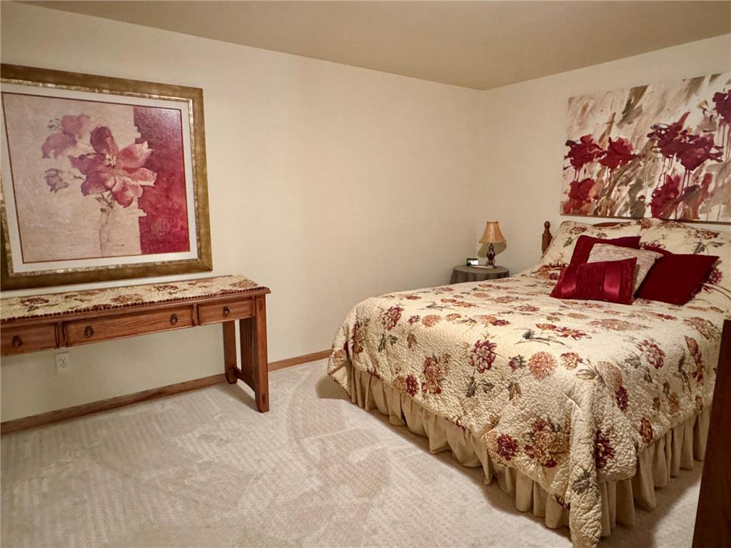 33678 Wildwood Drive Dent MN 56528 - West McDonald 7088367 image41