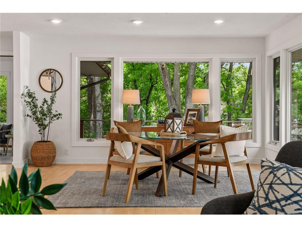 3369 Snelling Avenue N Arden Hills MN 55112 - Johanna 7024116 image47
