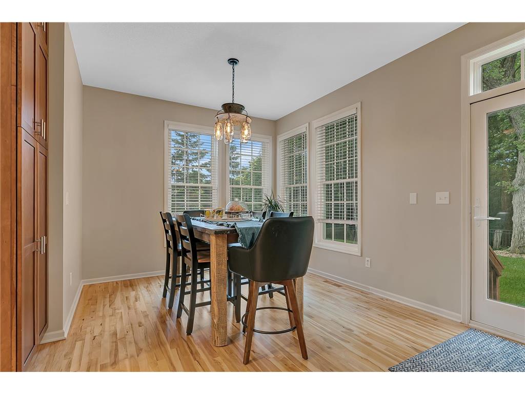 3373 Couchtown Path Rosemount MN 55068 7086342 image12