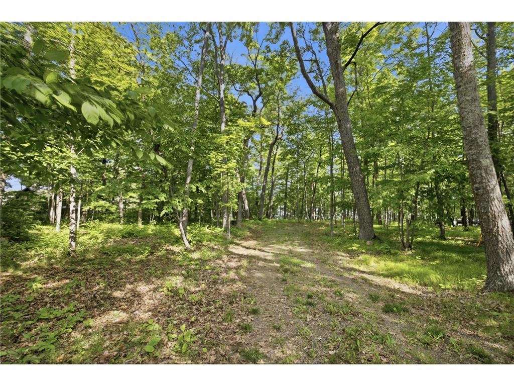 33775 Mcneil Road Ross Lake Twp MN 56431 - Stark 7094502 image10