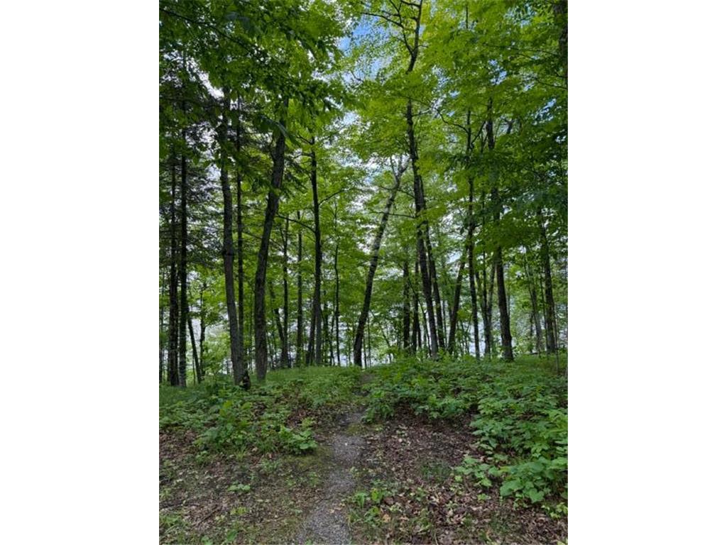 33775 Mcneil Road Ross Lake Twp MN 56431 - Stark 7094502 image11