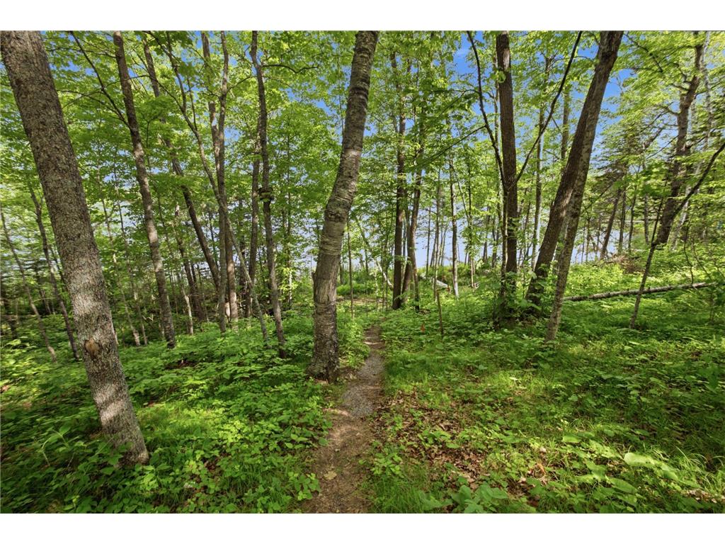 33775 Mcneil Road Ross Lake Twp MN 56431 - Stark 7094502 image16