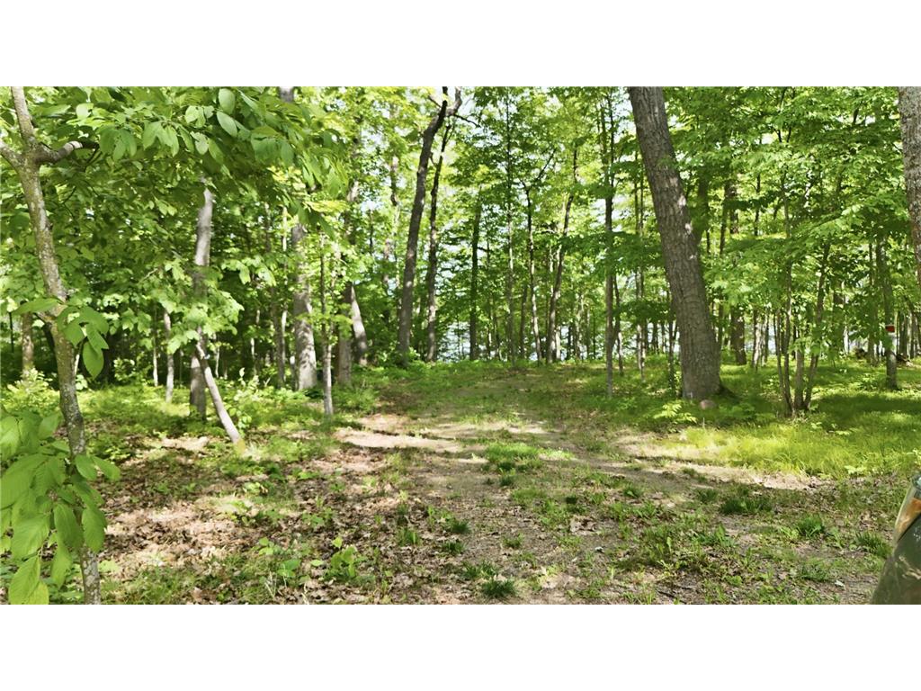 33775 Mcneil Road Ross Lake Twp MN 56431 - Stark 7094502 image20
