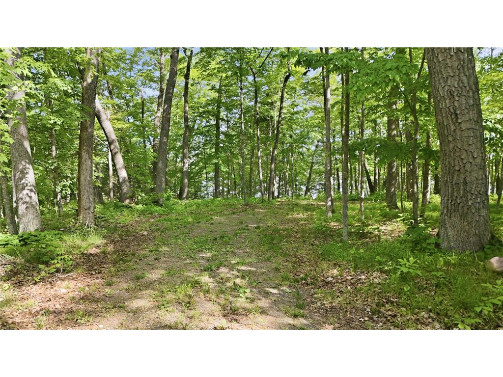 33775 Mcneil Road Ross Lake Twp MN 56431 - Stark 7094502 image22