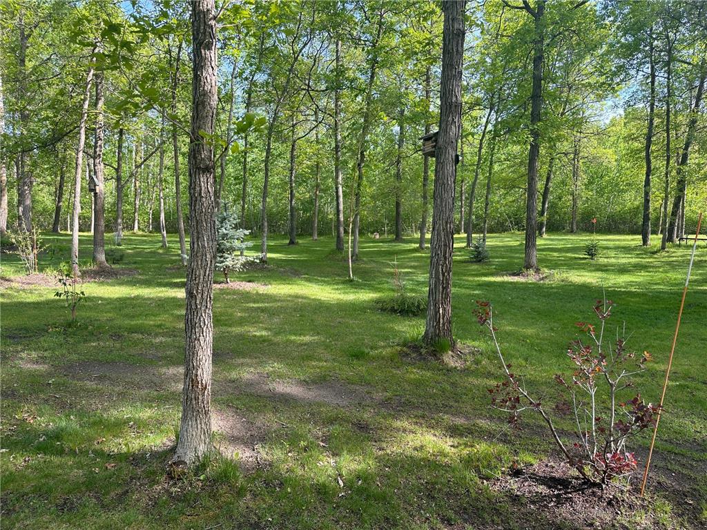 33798 Twin Oaks Trail W Motley MN 56466 7017553 image37