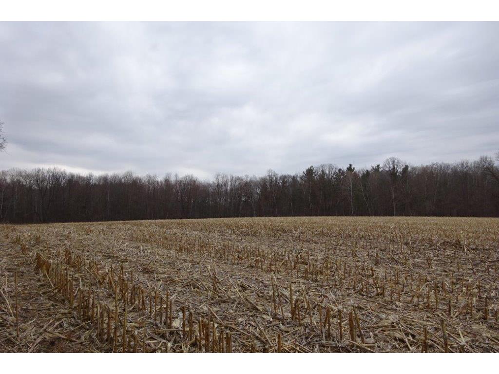 338 40th Street Clear Lake WI 54005 6709652 image22