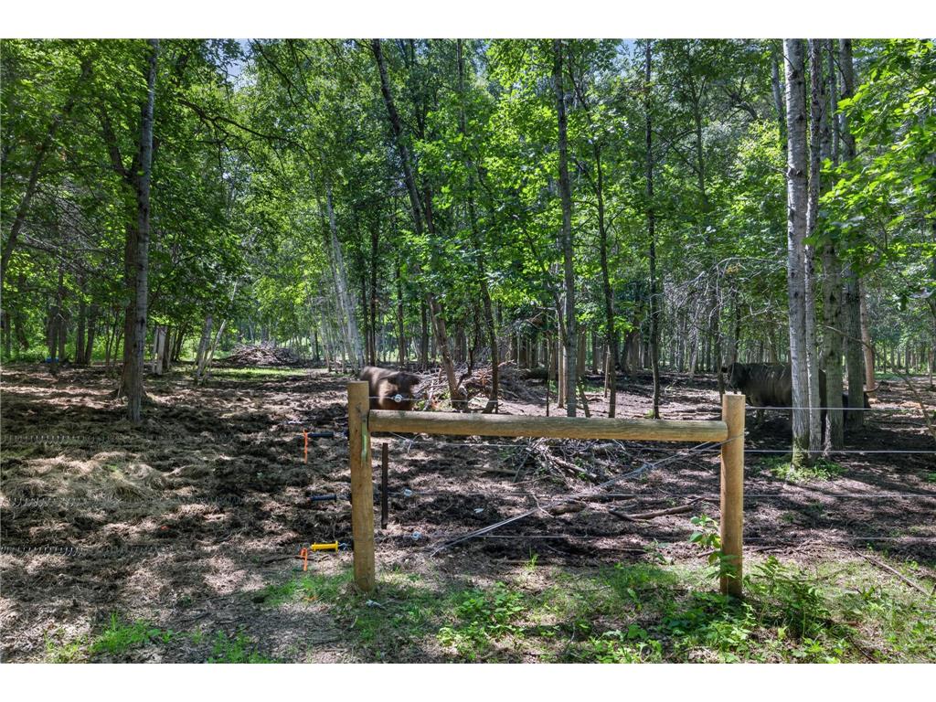 33810 Wildberry Lane Pequot Lakes MN 56472 7103750 image11
