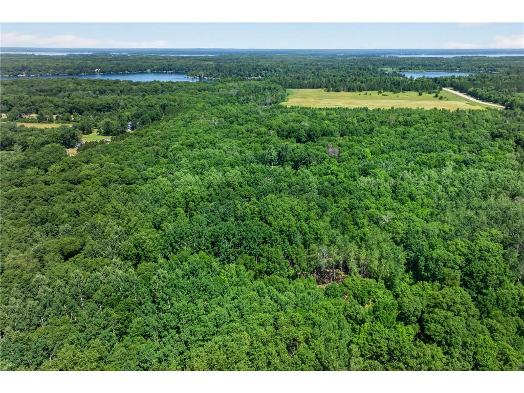 33810 Wildberry Lane Pequot Lakes MN 56472 7103750 image18
