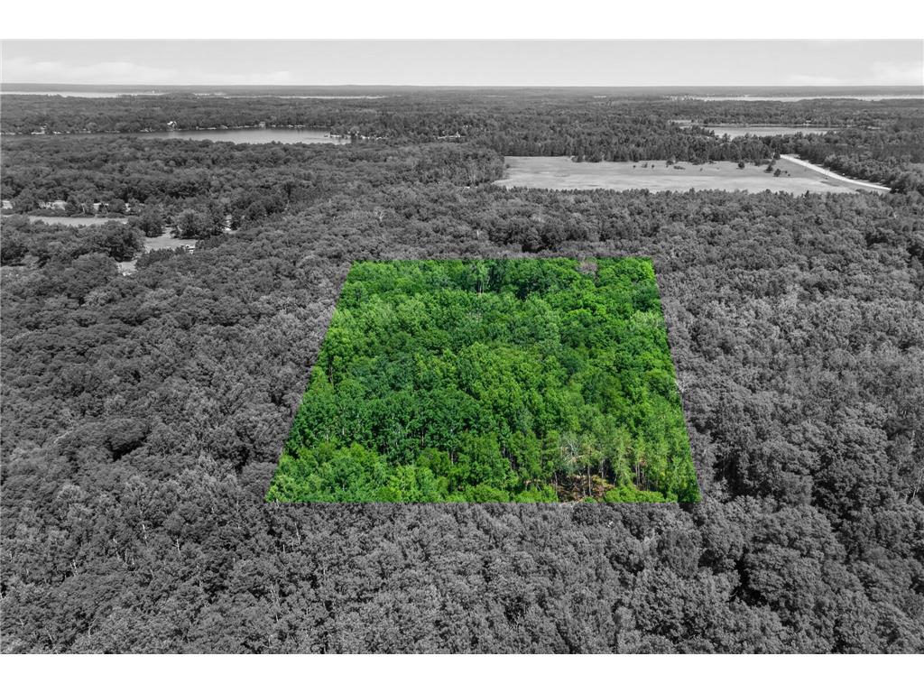 33810 Wildberry Lane Pequot Lakes MN 56472 7103750 image19