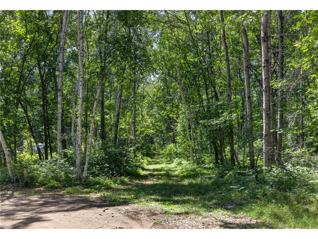 33810 Wildberry Lane Pequot Lakes MN 56472 7103750 image22