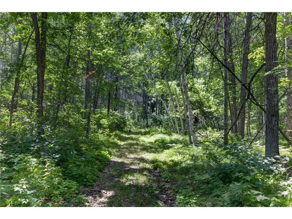 33810 Wildberry Lane Pequot Lakes MN 56472 7103750 image4