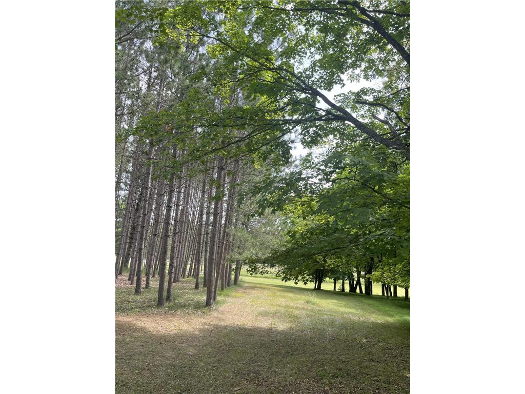 33820 County Highway 34 Sugar Bush E Twp MN 56569 7010248 image5