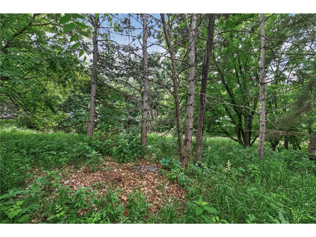 3383 Buckbee Road White Bear Lake MN 55110 7084313 image43