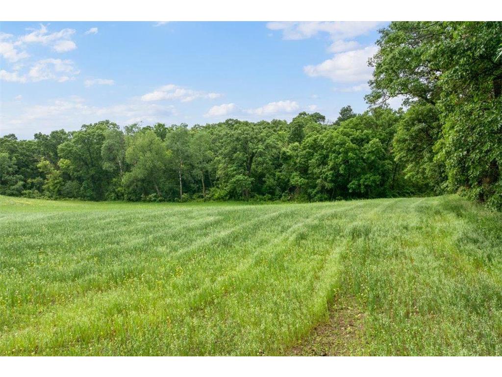 3387 Lawson Road Fort Ripley Twp MN 56449 7096696 image51