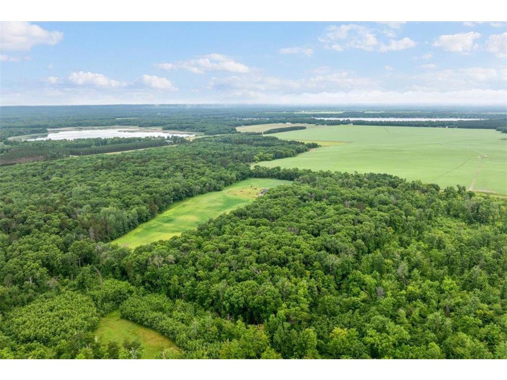 3387 Lawson Road Fort Ripley Twp MN 56449 7096696 image53