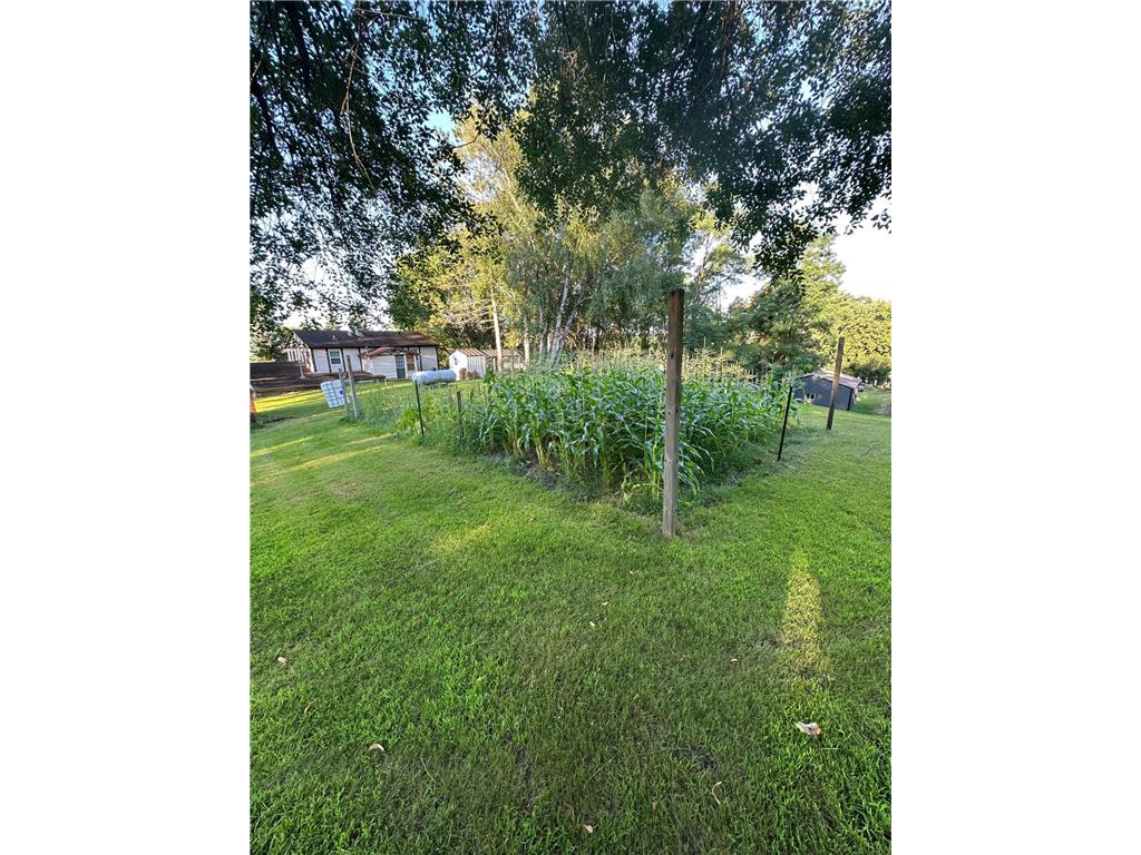 33884 State Highway 87 Burlington Twp MN 56544 6776941 image28