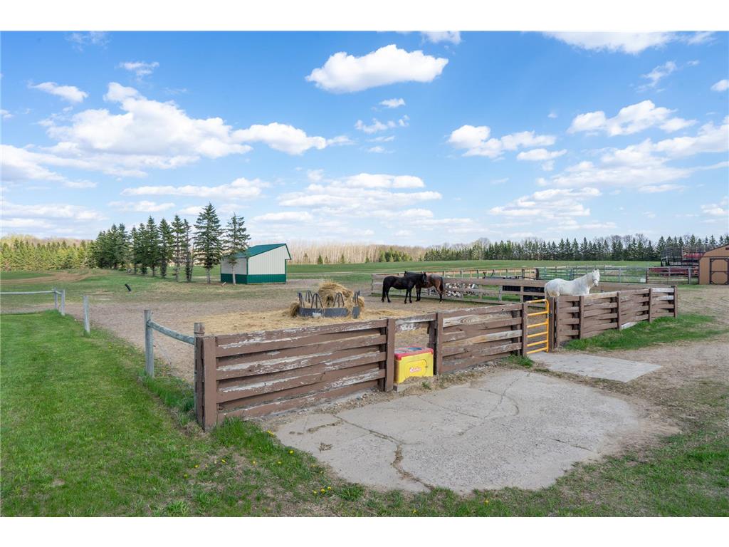 33896 County 21 Browerville MN 56438 6825782 image54