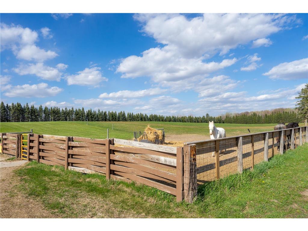 33896 County 21 Browerville MN 56438 6825782 image55