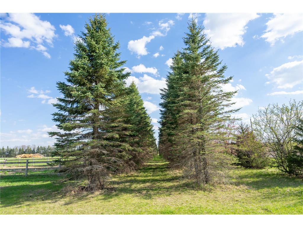 33896 County 21 Browerville MN 56438 6825782 image68