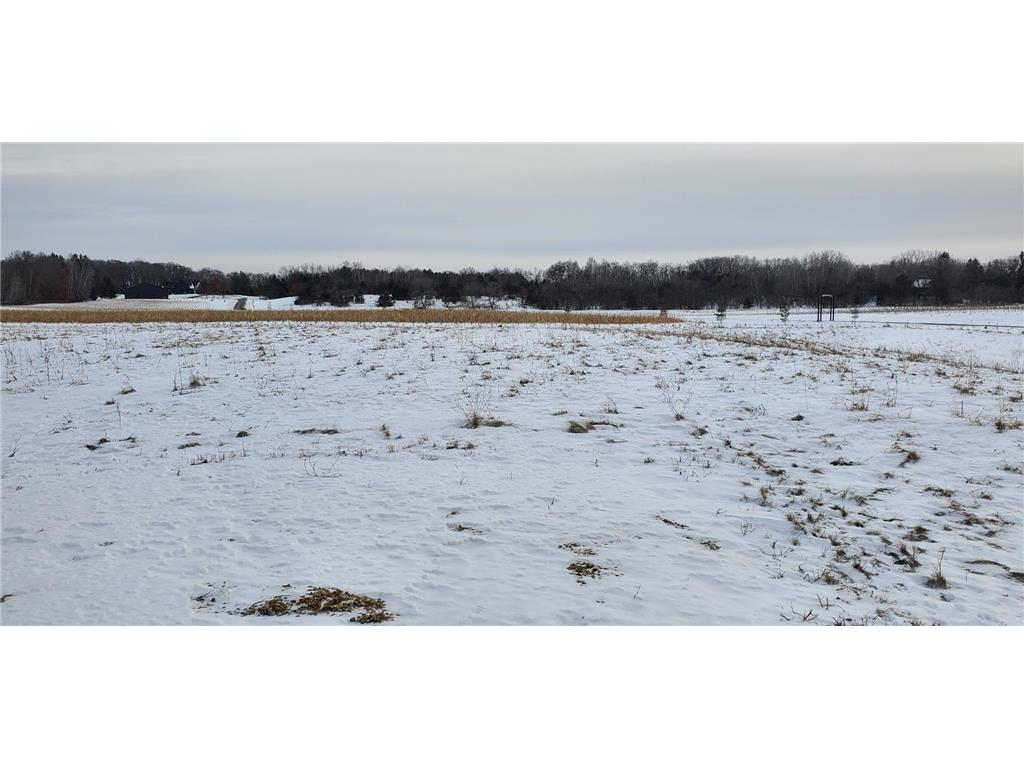 339 144th Avenue Houlton WI 54082 6805567 image11