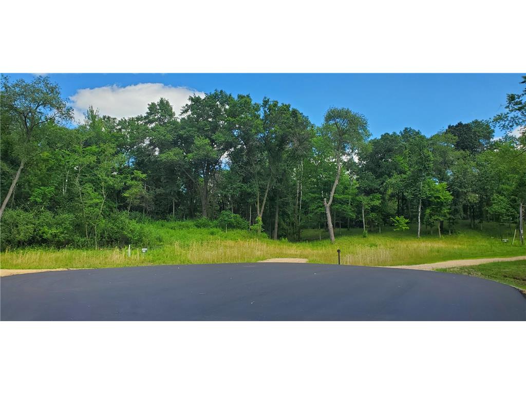 339 144th Avenue Houlton WI 54082 6805567 image16