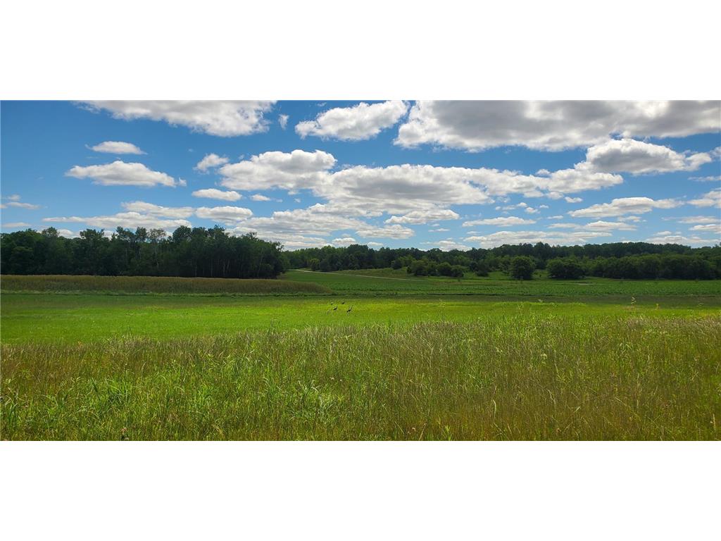 339 144th Avenue Houlton WI 54082 6805567 image24