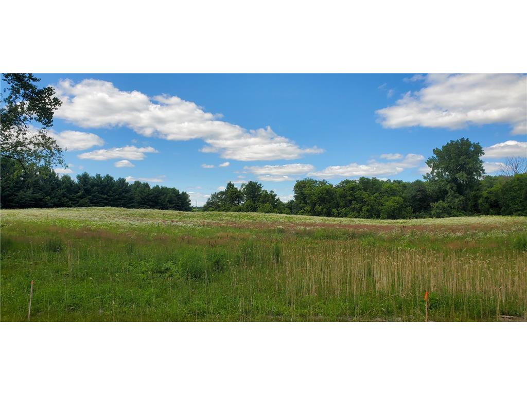 339 144th Avenue Houlton WI 54082 6805567 image25