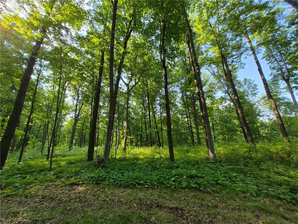 3391 30TH Street Lorain Twp WI 54837 7044992 image1