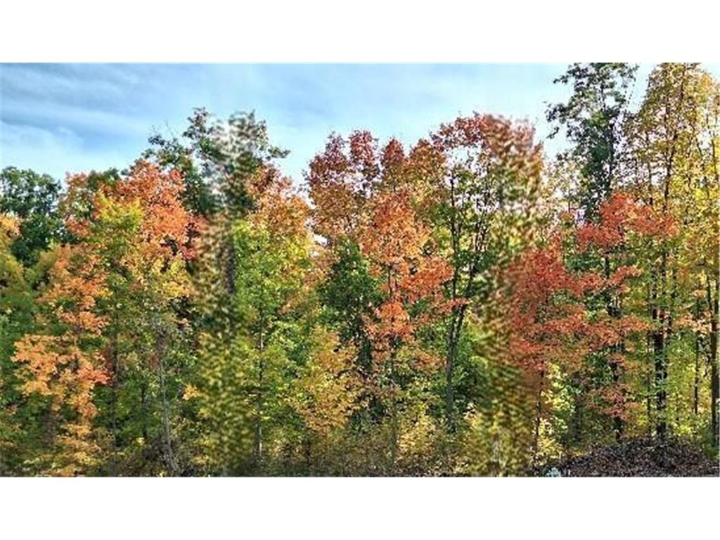 3391 30TH Street Lorain Twp WI 54837 7044992 image4
