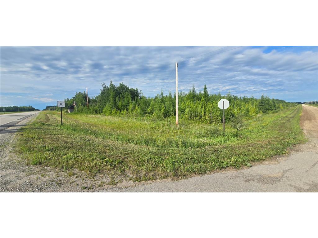 33949 County 17 Road Laona Twp MN 56673 6748027 image2