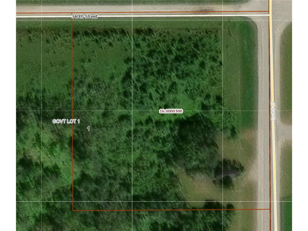 33949 County 17 Road Laona Twp MN 56673 6748027 image3