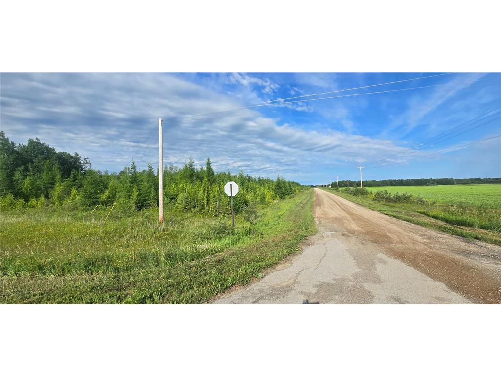 33949 County 17 Road Laona Twp MN 56673 6748027 image4