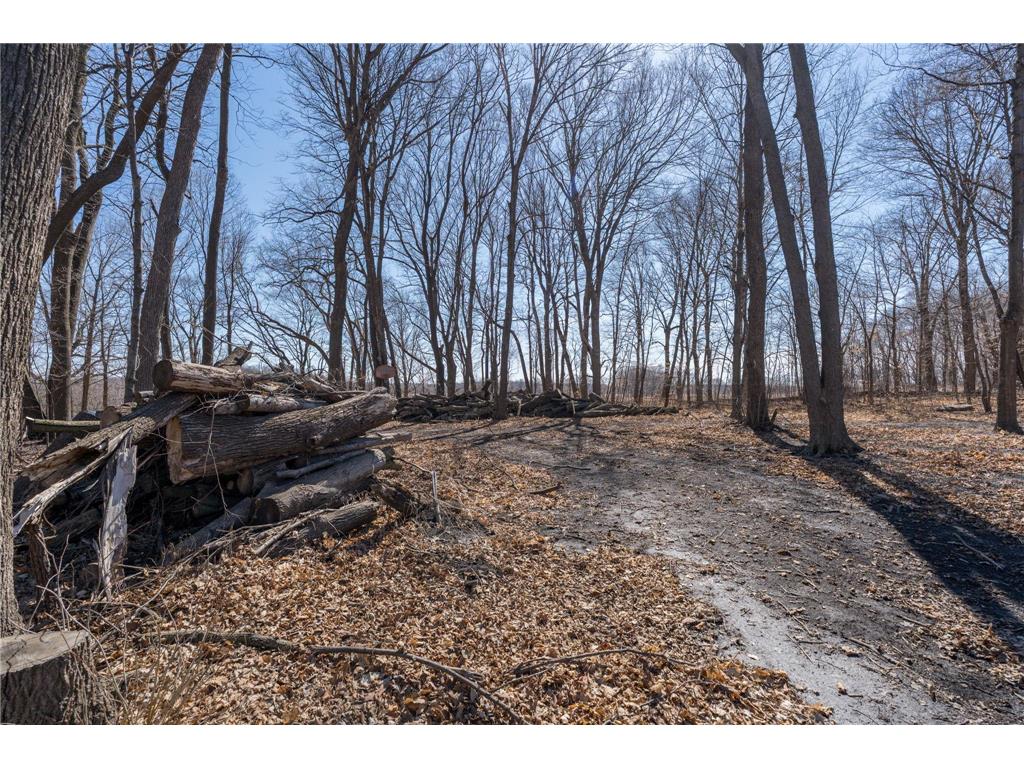 33964 137th Lane Montgomery MN 56069 7070858 image12